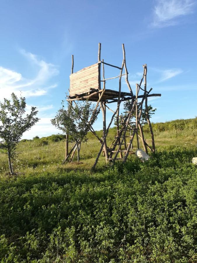 Pensiunea Agroturistica Casa Sirca Boghis Ngoại thất bức ảnh